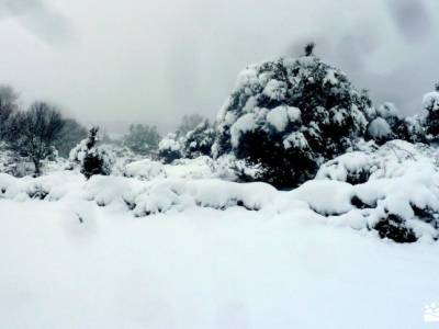 nieve, invierno, cañada; parque natural de sierra cebollera rutas para andar por madrid puebla de s